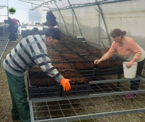 Workers preparing soil for containers